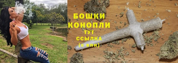 мет Бородино