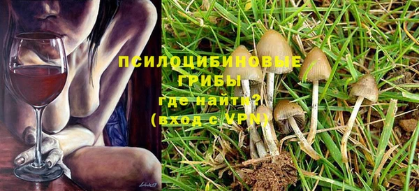 мет Бородино