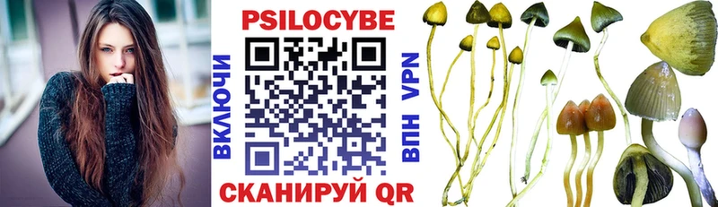 Псилоцибиновые грибы Psilocybine cubensis  где можно купить наркотик  Ковылкино 